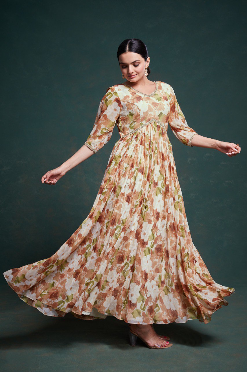 Pehnava Style Grey Chiffon Gown