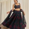 Pehnava Style Organza Embroidered Lehenga