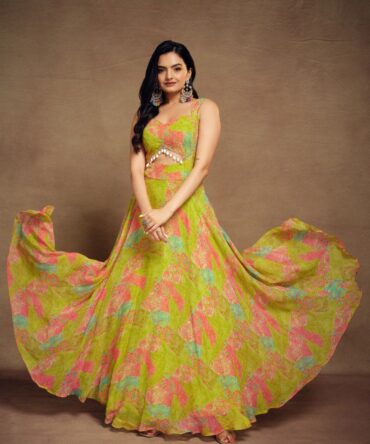 Pehnava Style Rose Printed Georgette Gown